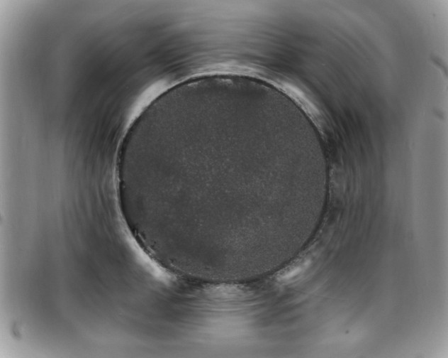 X0000097670998200802291456