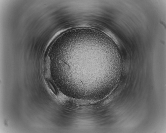 X0000097671000200802291456