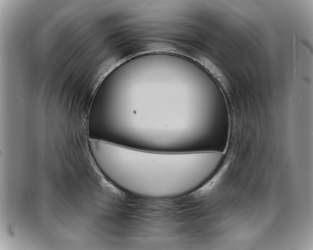 X0000097671001200802291456