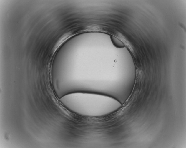 X0000097671002200802291456