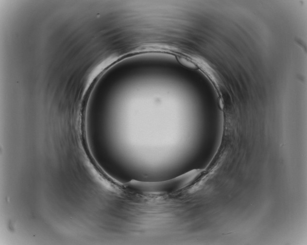 X0000097671003200802291456