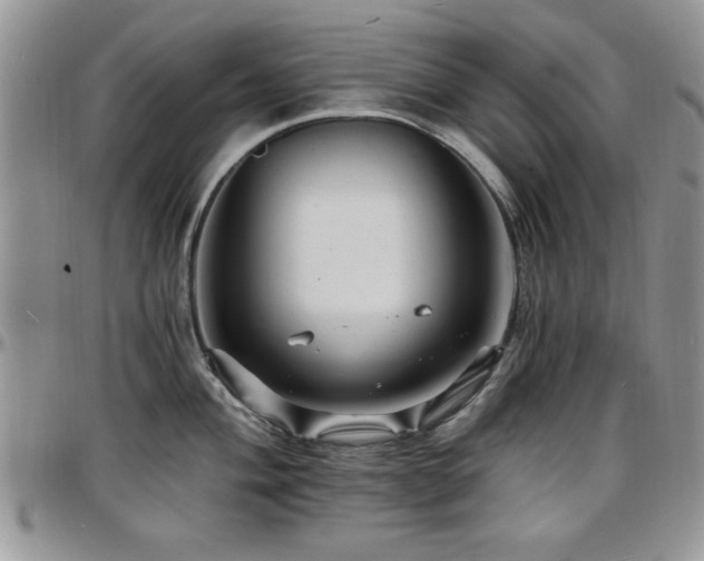X0000097671004200802291456