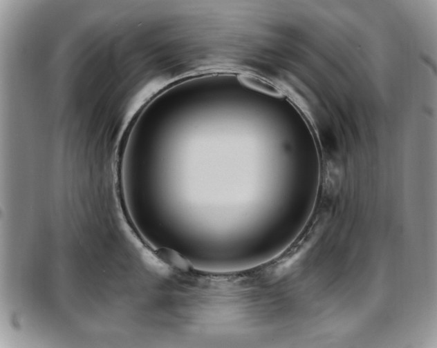 X0000097671005200802291456