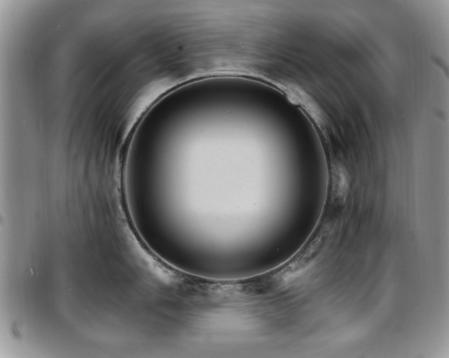 X0000097671006200802291456