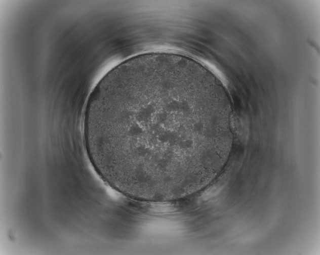X0000097671007200802291456