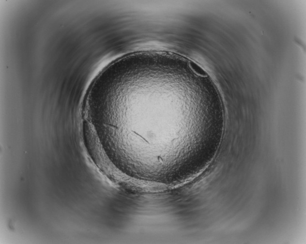 X0000097671008200802291456