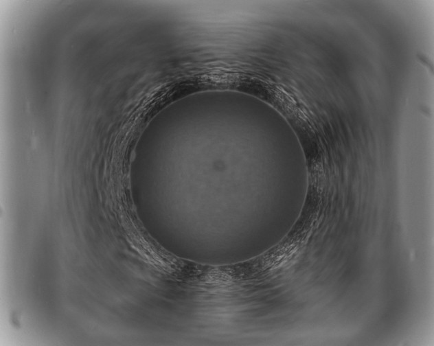 X0000097671009200802291455