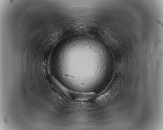 X0000097671010200802291455
