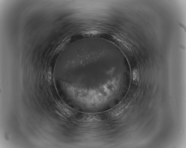 X0000097671011200802291455