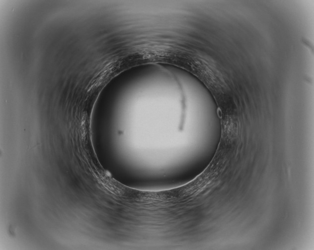X0000097671012200802291455