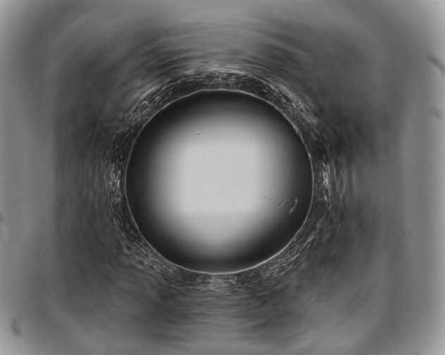 X0000097671013200802291455