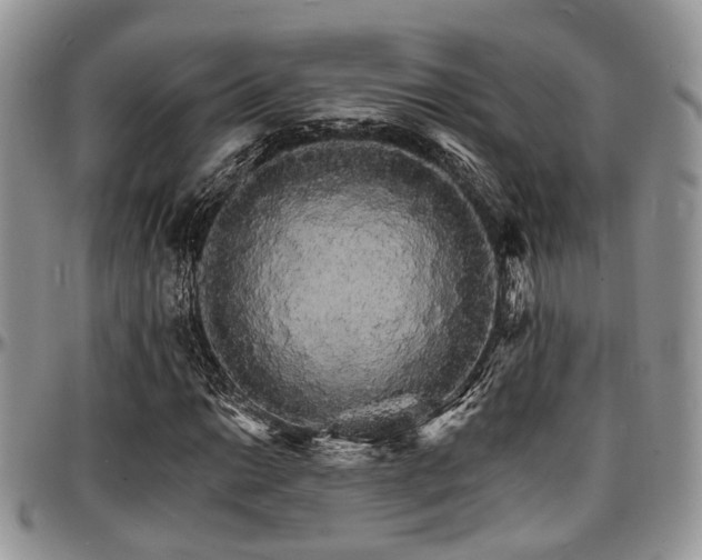 X0000097671014200802291455