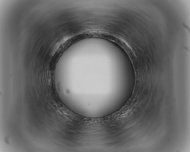 X0000097671016200802291455