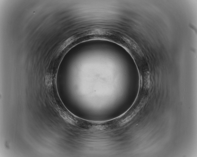 X0000097671017200802291455