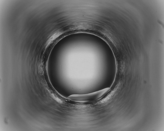 X0000097671018200802291455