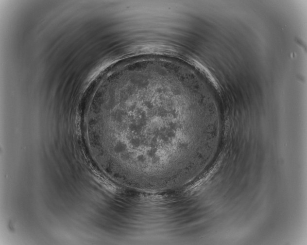X0000097671019200802291455