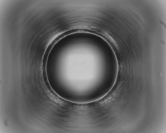 X0000097671020200802291455