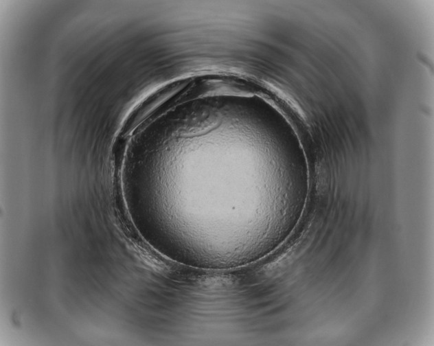 X0000097671021200802291455