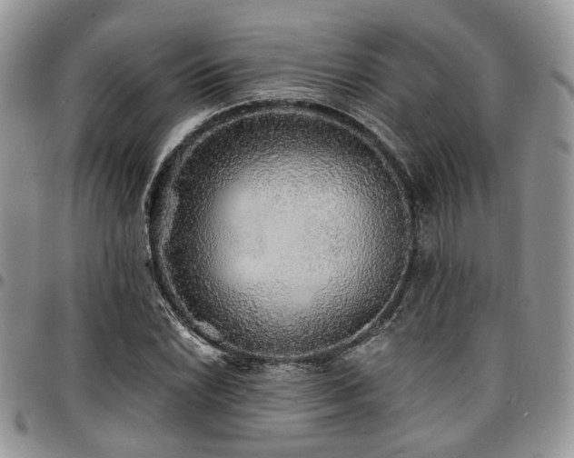 X0000097671022200802291455