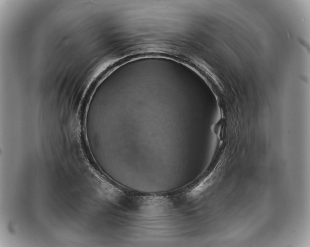 X0000097671024200802291455