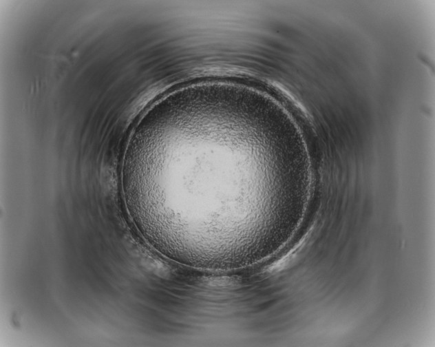 X0000097671025200802291455