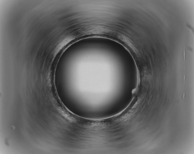 X0000097671026200802291455