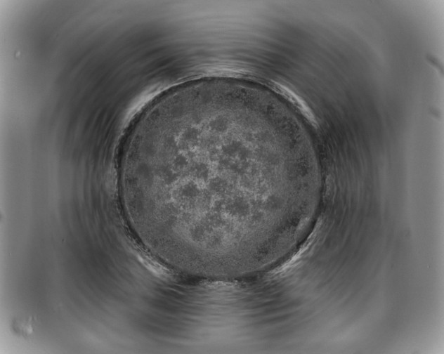 X0000097671027200802291455