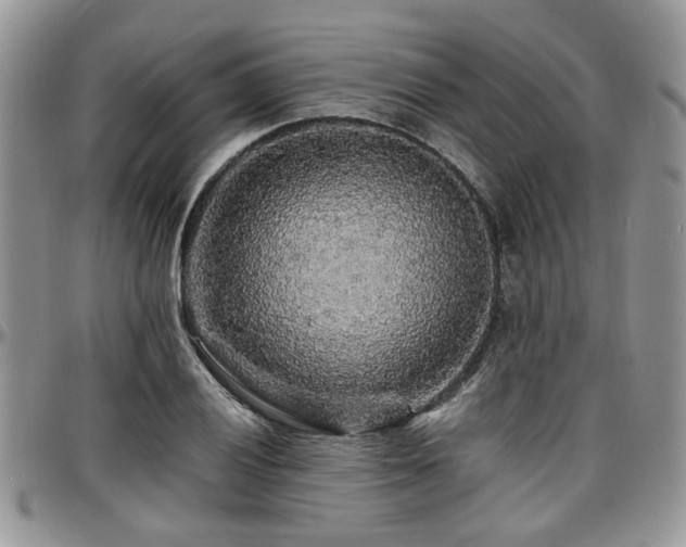 X0000097671028200802291455