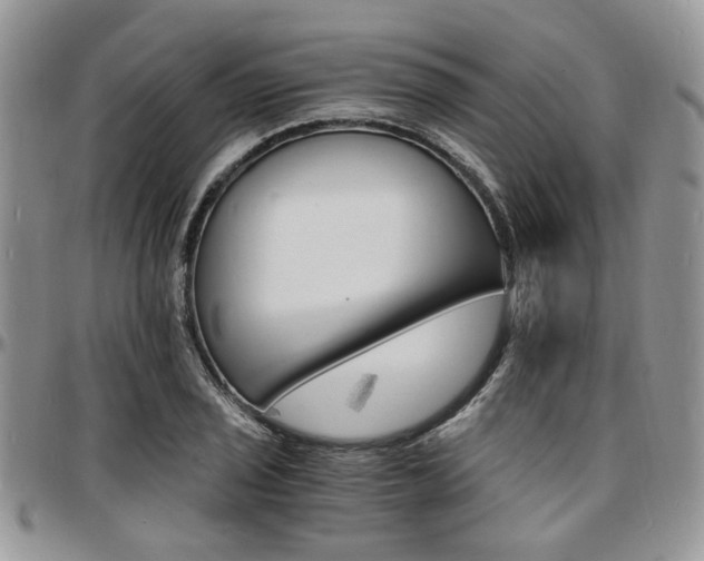X0000097671029200802291455