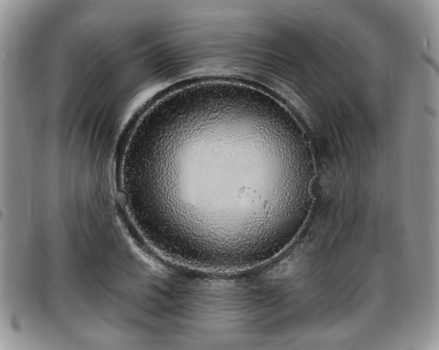 X0000097671030200802291455