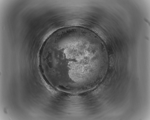 X0000097671031200802291455