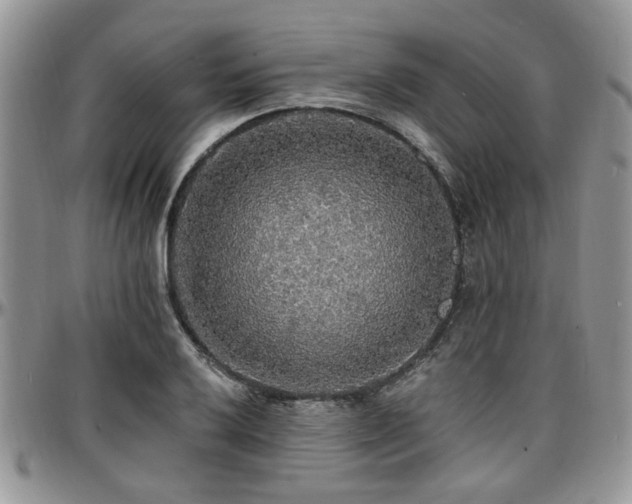 X0000097671032200802291455