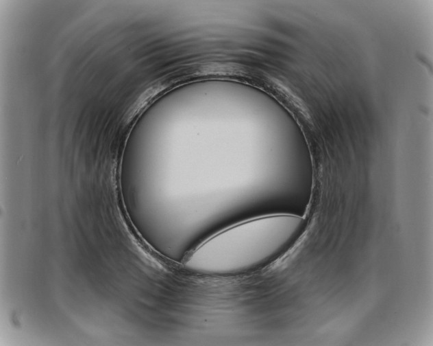 X0000097671033200802291455
