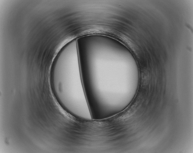 X0000097671034200802291455