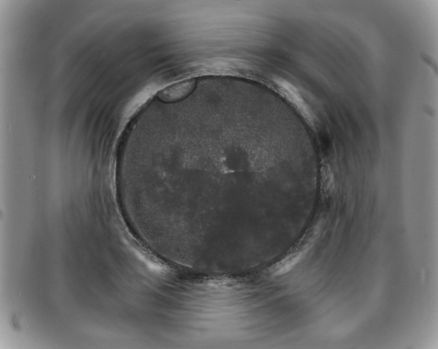 X0000097671035200802291455