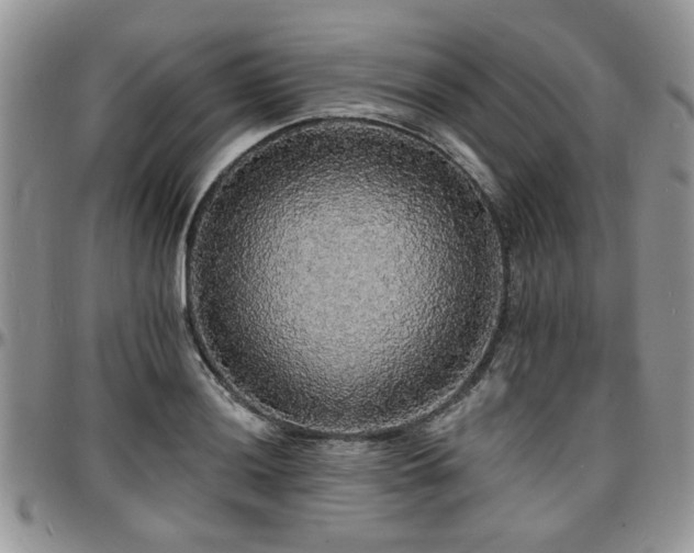 X0000097671036200802291455
