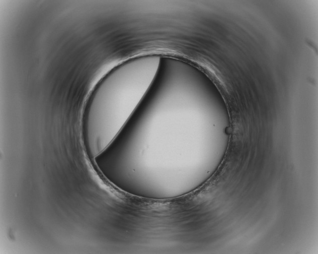 X0000097671038200802291455