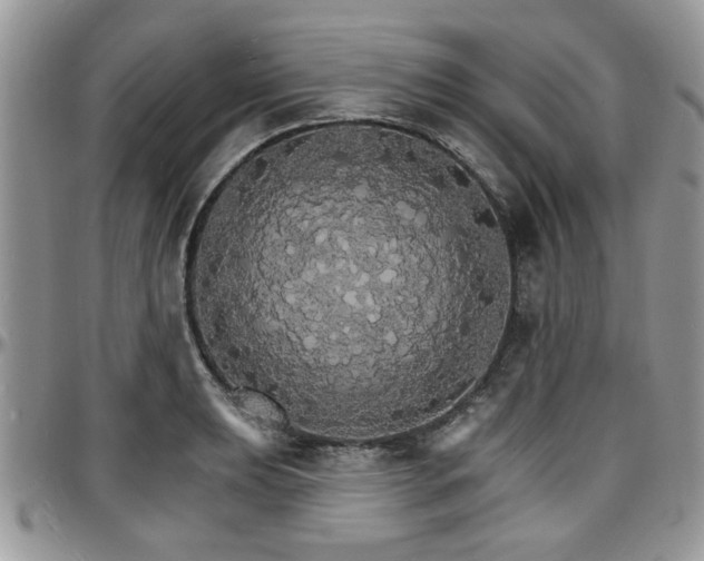 X0000097671039200802291455