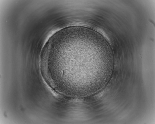 X0000097671040200802291455