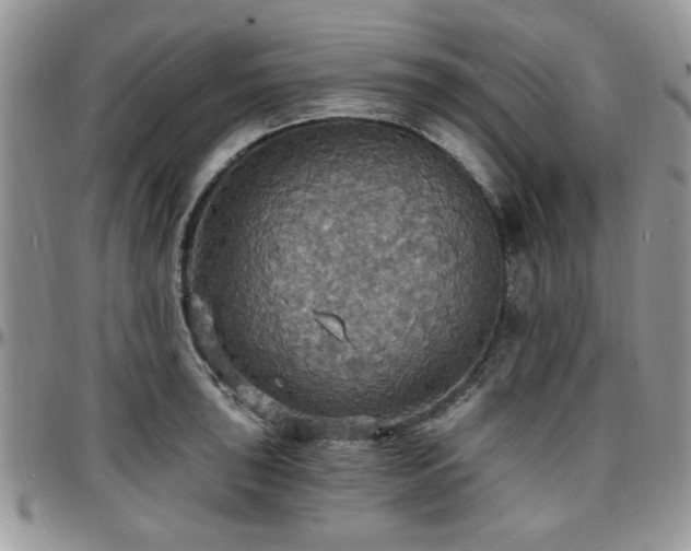 X0000097671043200802291455