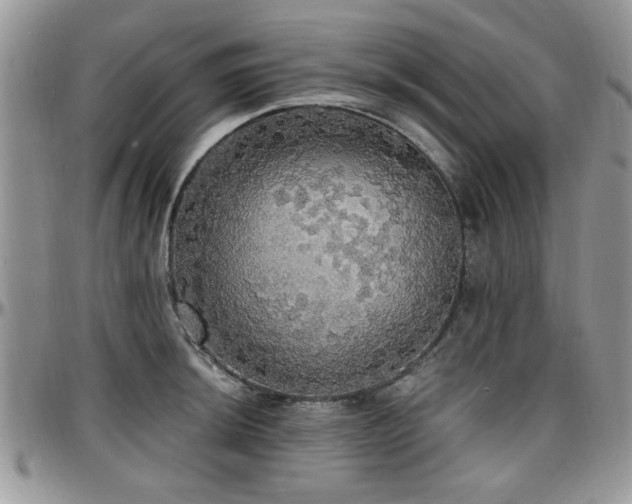 X0000097671044200802291455