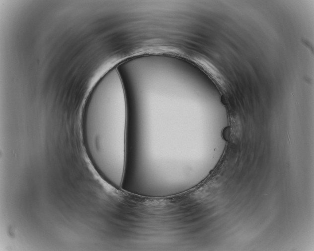 X0000097671046200802291455