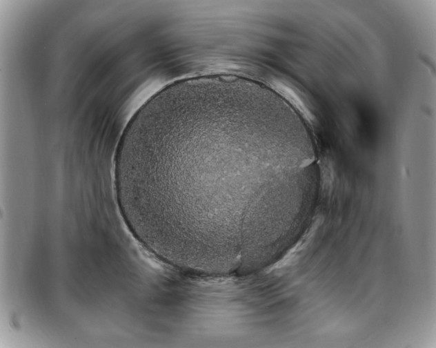 X0000097671047200802291456