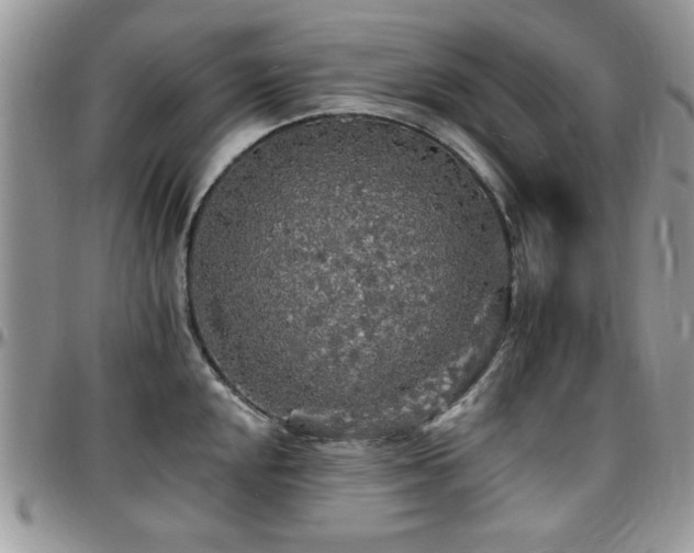 X0000097671048200802291456