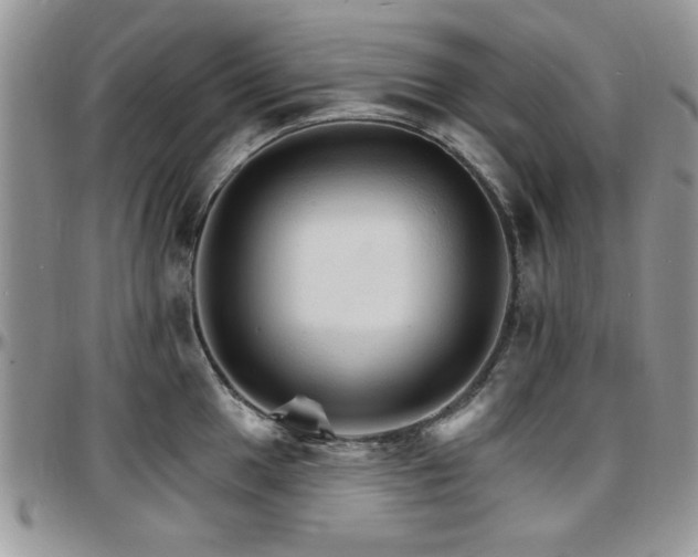 X0000097671049200802291456