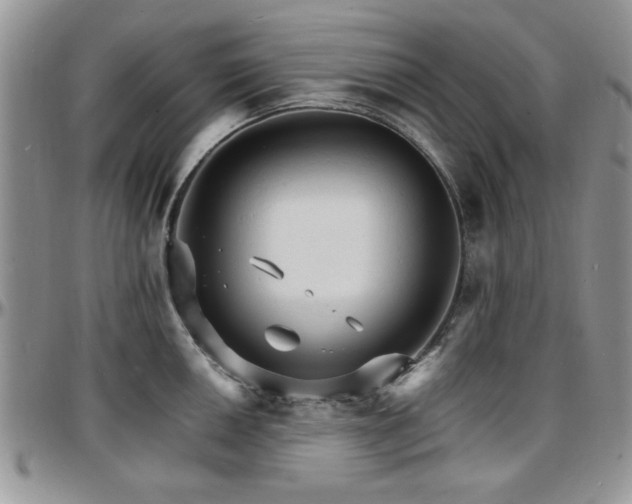 X0000097671050200802291456