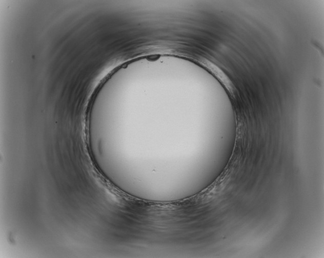 X0000097671051200802291456