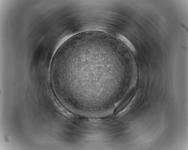X0000097671052200802291456