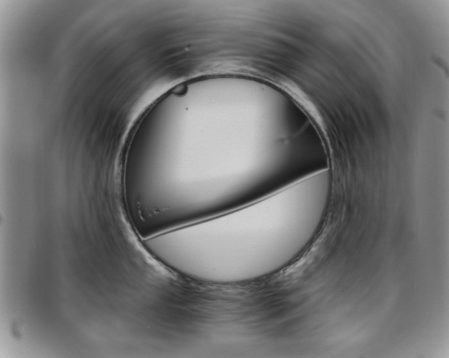 X0000097671053200802291456