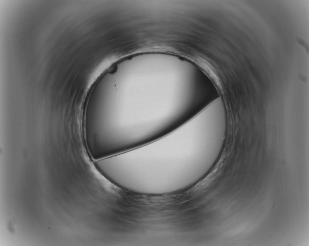 X0000097671054200802291456